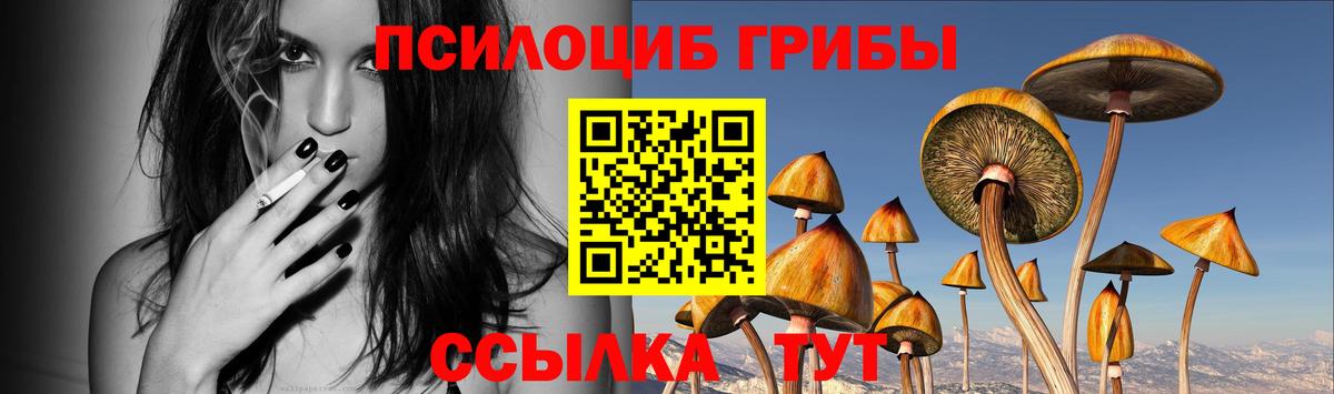 Зима  Галлюциногенные грибы GOLDEN TEACHER  купить закладку  Вход с VPN 