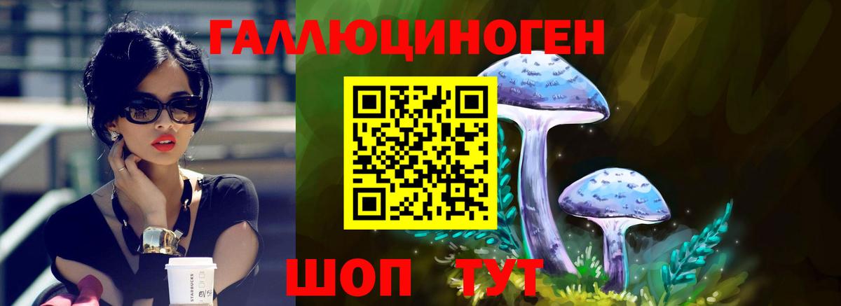 Галлюциногенные грибы GOLDEN TEACHER Зима